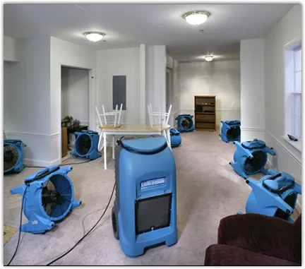 Mold Remediation & Removal in Earl, PA