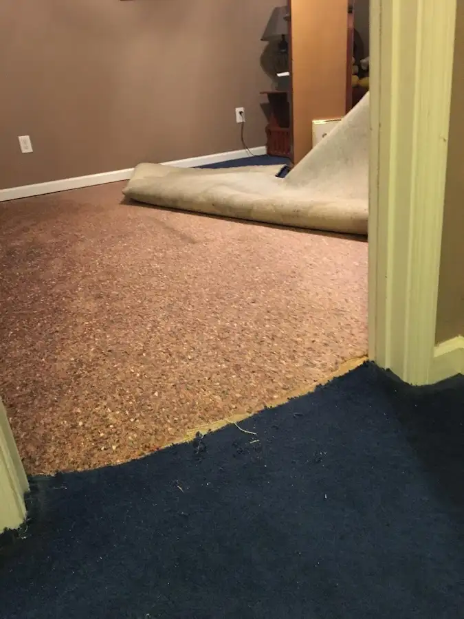 Carpet pad removal revealing water damage during Drying & Dehumidification in Earl