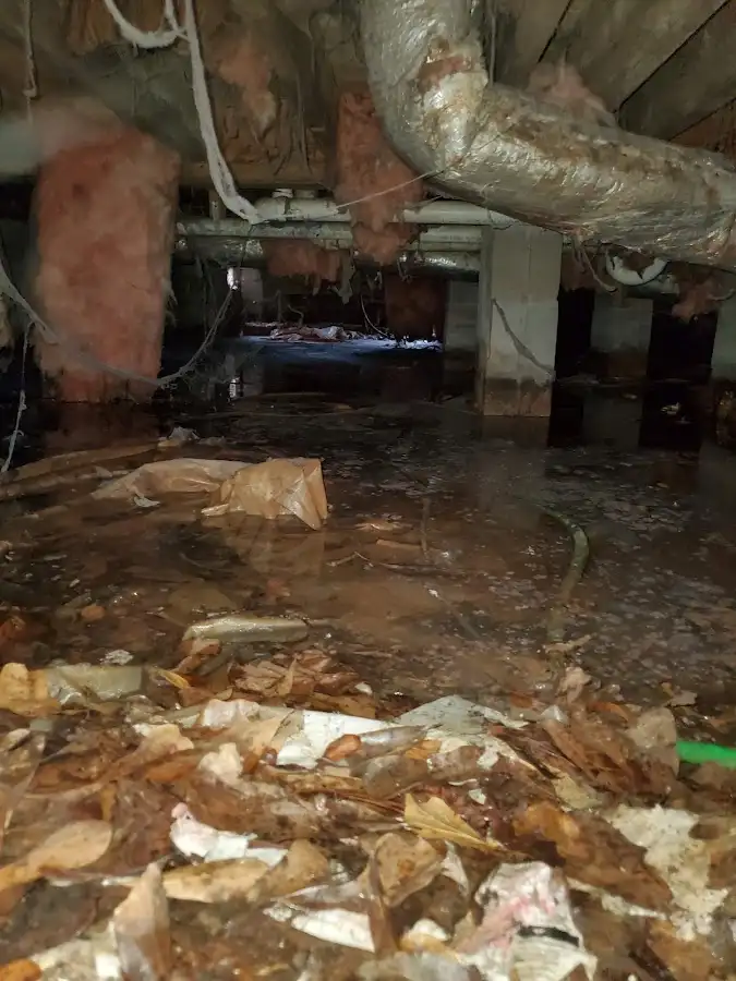 Crawl space flood assessment for Commercial Water Damage Restoration in Earl