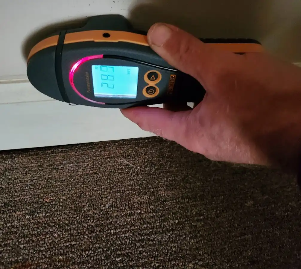 Moisture detection at baseboard during Mold Inspection & Testing in Earl